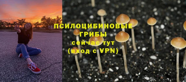 шишки Верхнеуральск