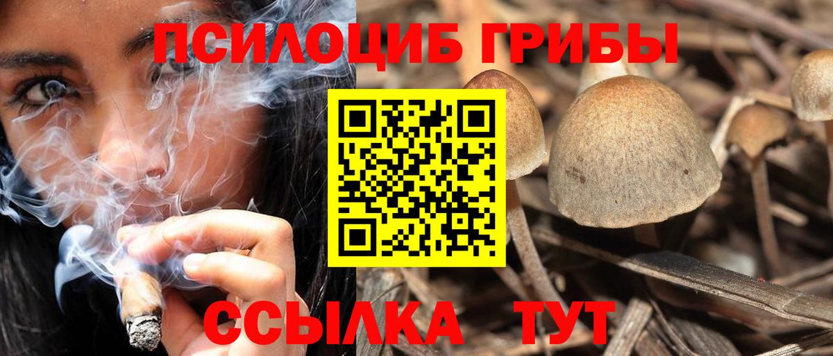Галлюциногенные грибы мицелий Ноябрьск