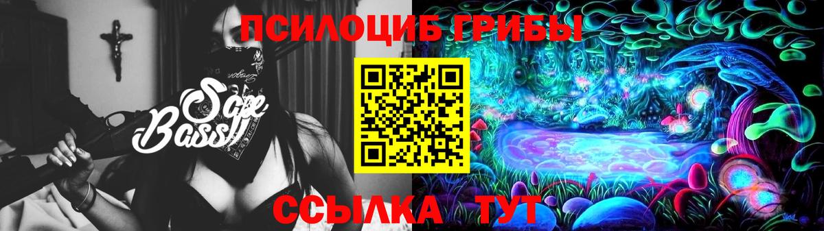 Ноябрьск  Галлюциногенные грибы Psilocybe  Вход с VPN 